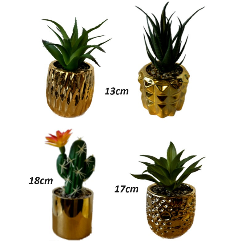 ΓΛΑΣΤΡΑΚΙ ΧΡΥΣΟ ΜΕ ΚΑΚΤΑΚΙ