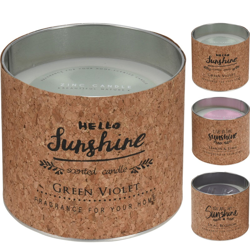 ΚΕΡΙ ΑΡΩΜΑΤΙΚΟ ΣΕ ΜΕΤΑΛΛΙΚΟ ΒΑΖΟ ΜΕ ΦΕΛΛΟ 350gr