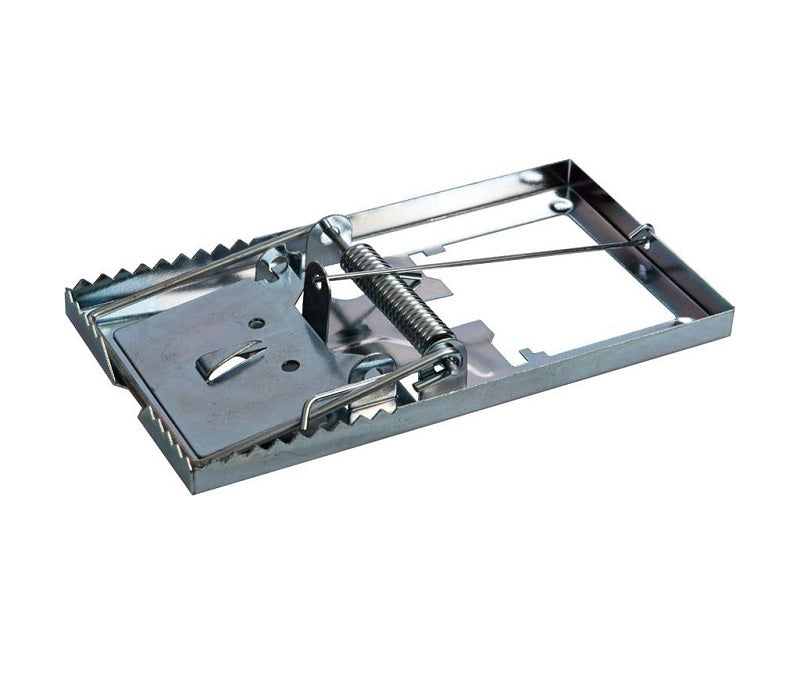 ΠΟΝΤΙΚΟΠΑΓΙΔΑ ΜΙΚΡΗ