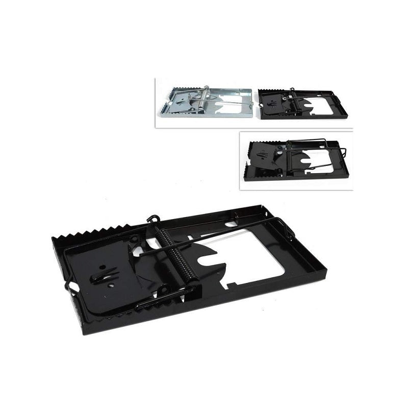 ΠΟΝΤΙΚΟΠΑΓΙΔΑ ΜΕΓΑΛΗ