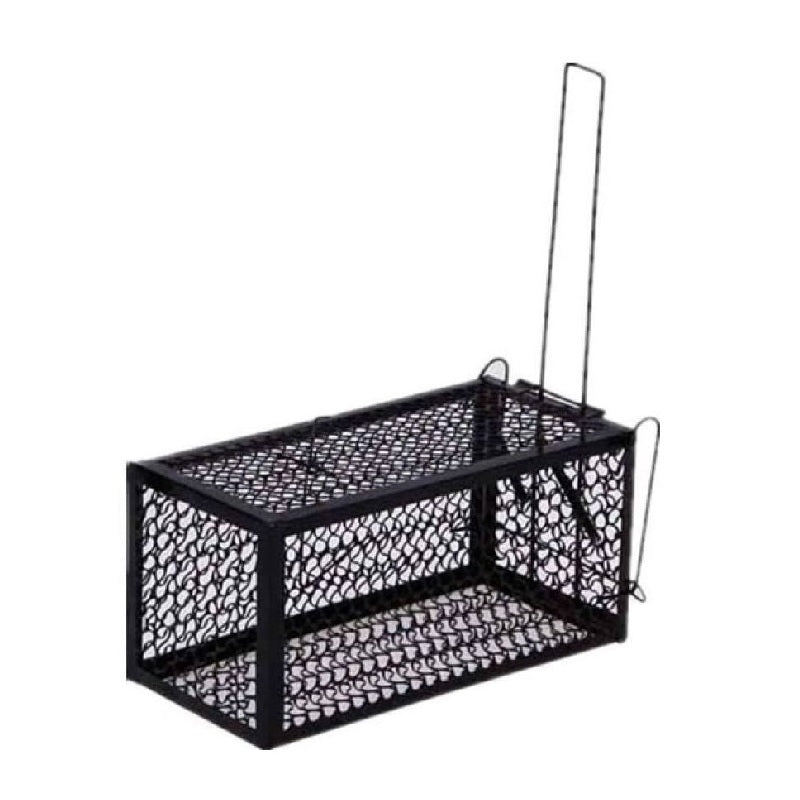 ΠΟΝΤΙΚΟΠΑΓΙΔΑ ΚΛΟΥΒΙ ΜΕΓΑΛΗ