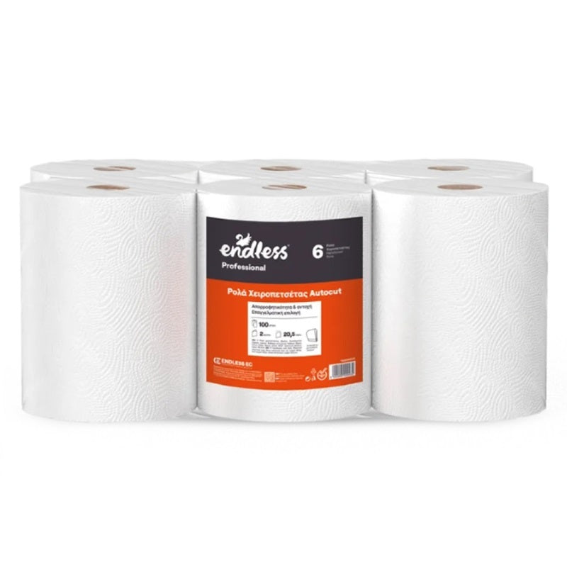 ΧΕΙΡΟΠΕΤΣΕΤΑ 800gr 2Φ 6 ΡΟΛΑ ENDLESS