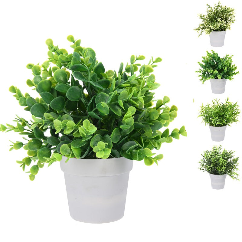 ΓΛΑΣΤΡΑΚΙ ΛΕΥΚΟ ΜΕ ΠΡΑΣΙΝΑΔΑ 24εκ