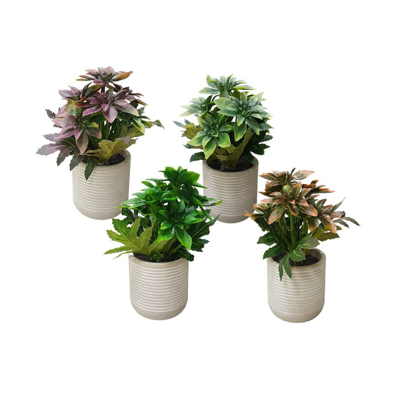 ΓΛΑΣΤΡΑΚΙ ΜΕ ΛΟΥΛΟΥΔΙΑ 210714