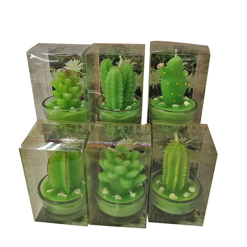 ΚΕΡΙ ΚΑΚΤΟΣ 5x5x8cm TNS