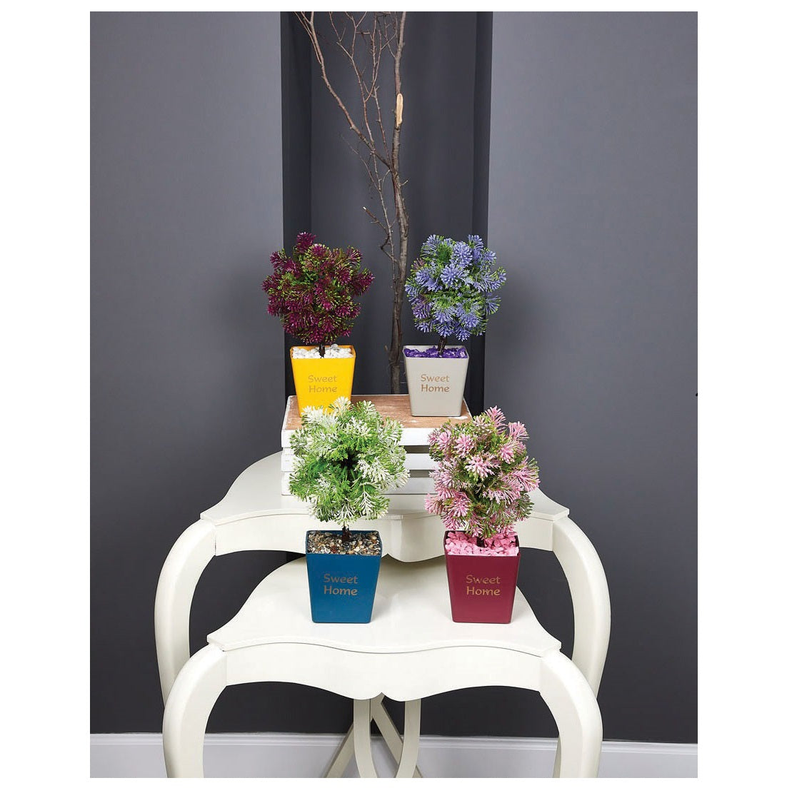 ΓΛΑΣΤΡΑ 9.5εκ ΜΕ ΔΕΝΤΡΑΚΙ