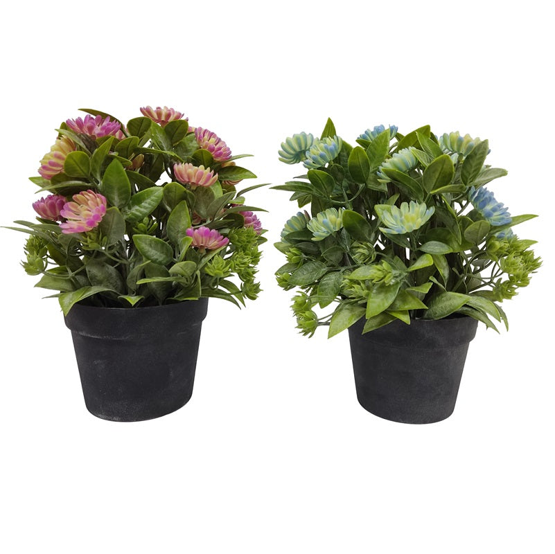 ΓΛΑΣΤΡΑΚΙ ΜΑΥΡΟ ΜΕ ΛΟΥΛΟΥΔΙΑ 10x8.5x22cm