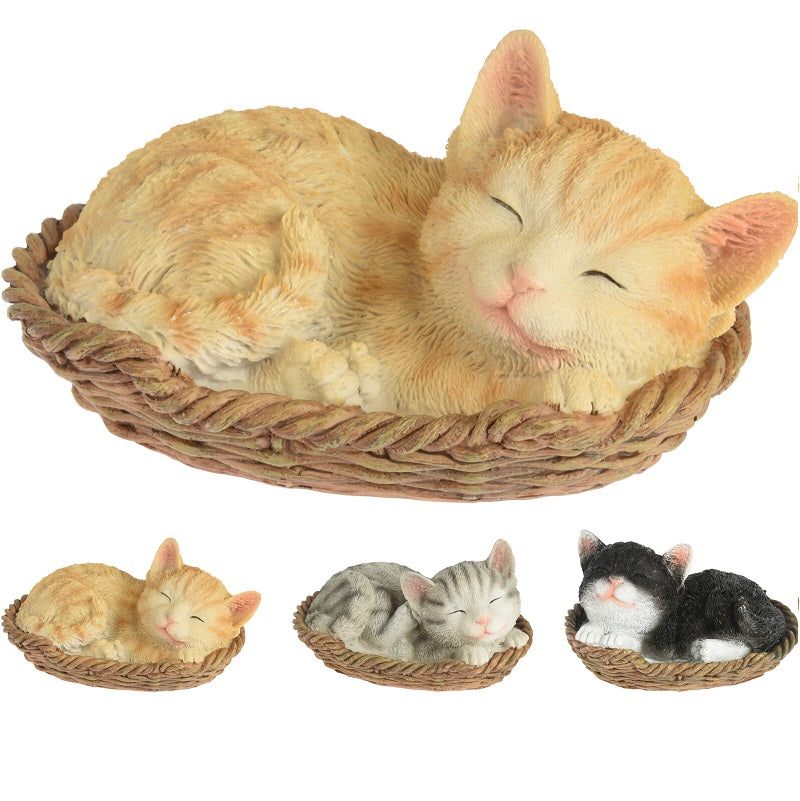 ΓΑΤΑΚΙ ΣΕ ΚΑΛΑΘΑΚΙ