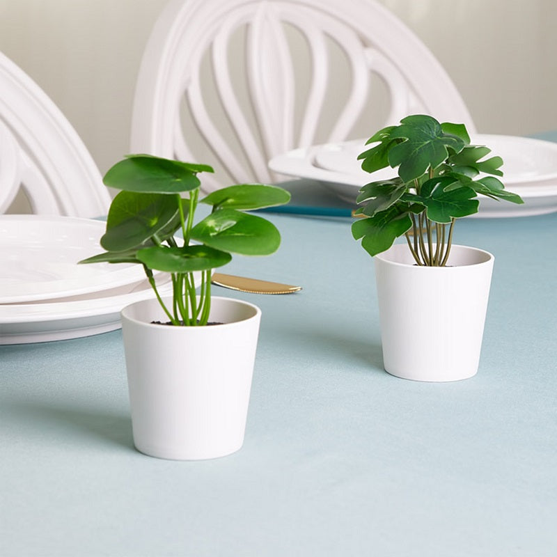 ΓΛΑΣΤΡΑΚΙ 6cm ΠΡΑΣΙΝΑ ΦΥΤΑ TNS