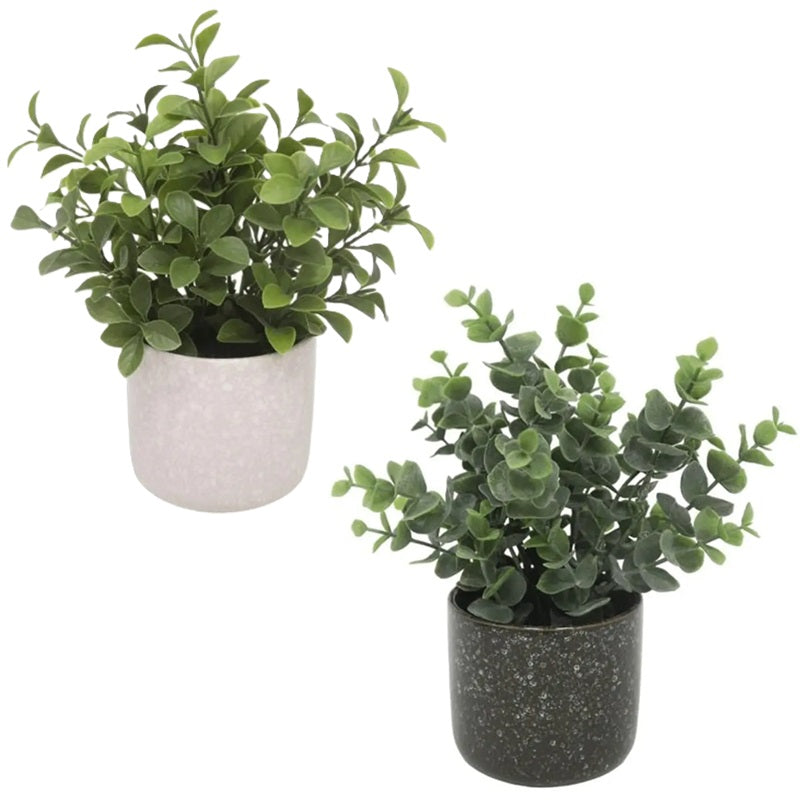 ΓΛΑΣΤΡΑΚΙ ΚΕΡΑΜΙΚΟ MARMO ΜΕ ΚΑΜΕΛΙΑ 16.5x20.3cm ANKOR