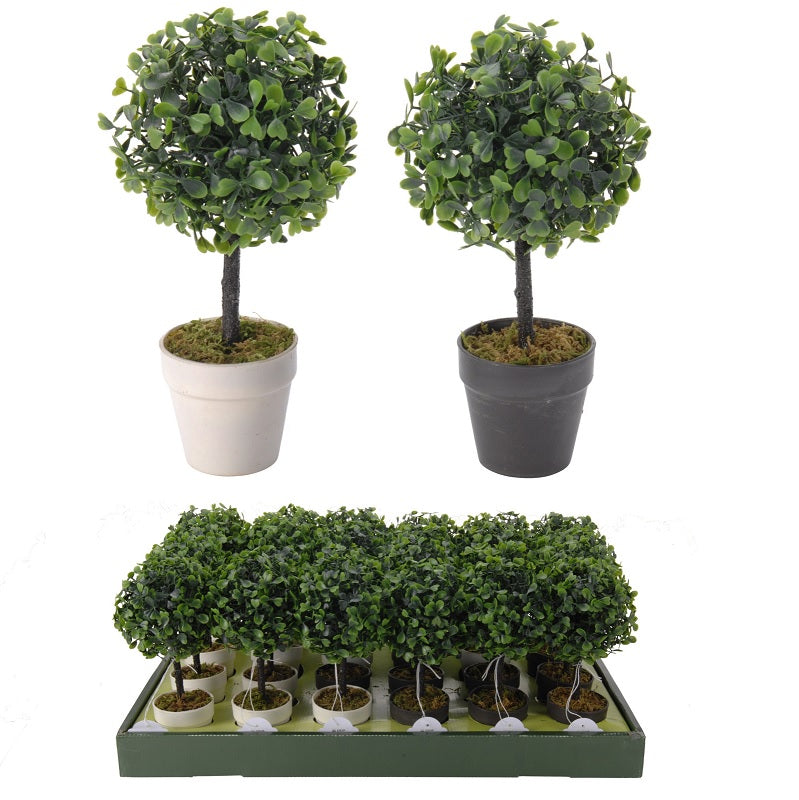 ΓΛΑΣΤΡΑΚΙ ΠΥΞΟΣ ΜΠΑΛΑ 23cm BOTANICAL DECORATION