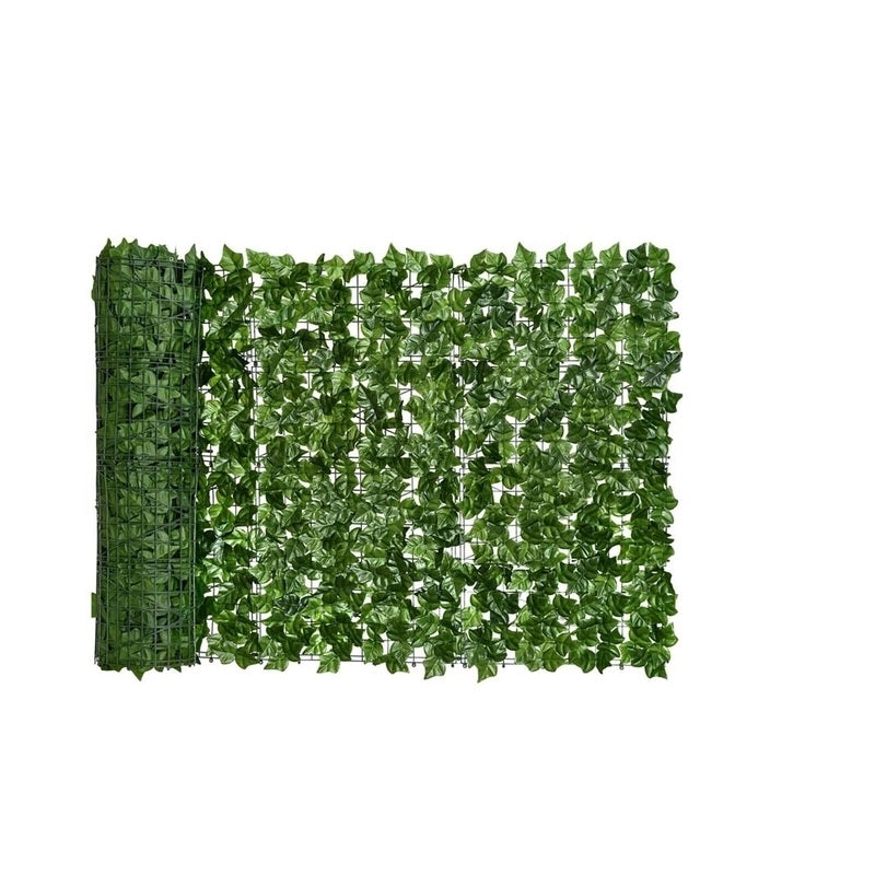 ΦΡΑΧΤΗΣ ΠΡΑΣΙΝΑΔΑ 1mx3m