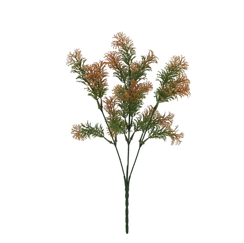 ΜΠΟΥΚΕΤΟ ΑΓΡΙΟΧΟΡΤΟ ΜΕ ΚΑΦΕΤΙ ΑΚΡΕΣ 33εκ 204431