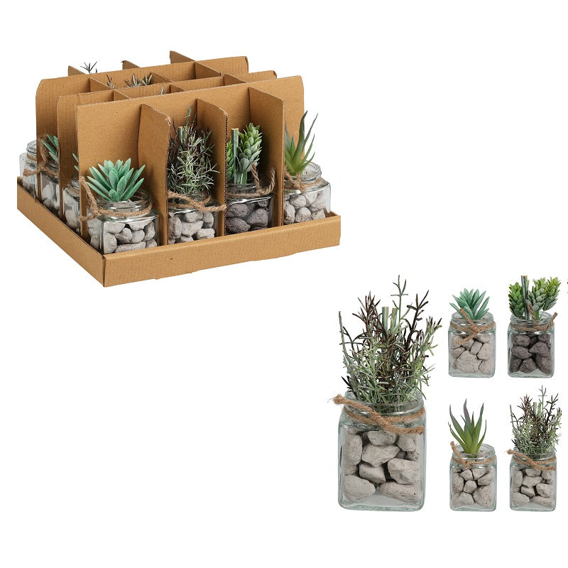 ΓΛΑΣΤΡΑΚΙ ΓΥΑΛΙΝΟ ΜΕ ΠΑΧΥΦΥΤΑ ΚΑΙ ΒΟΤΣΑΛΑ