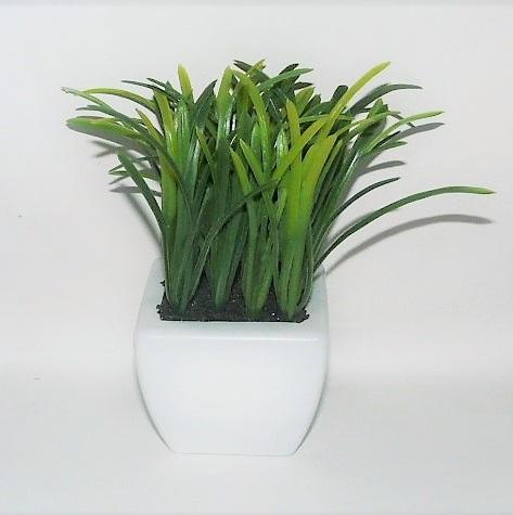 ΚΑΣΠΩ ΠΛΑΣΤΙΚΟ ΠΡΑΣΙΝΑΔΑ 7x7x6εκ