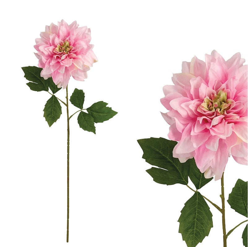 ΚΛΑΔΙ ΝΤΑΛΙΑ 67cm 100019