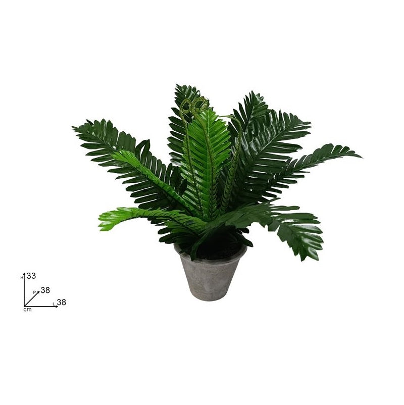 ΓΛΑΣΤΡΑΚΙ ΜΕ ΠΡΑΣΙΝΑΔΑ 33εκ