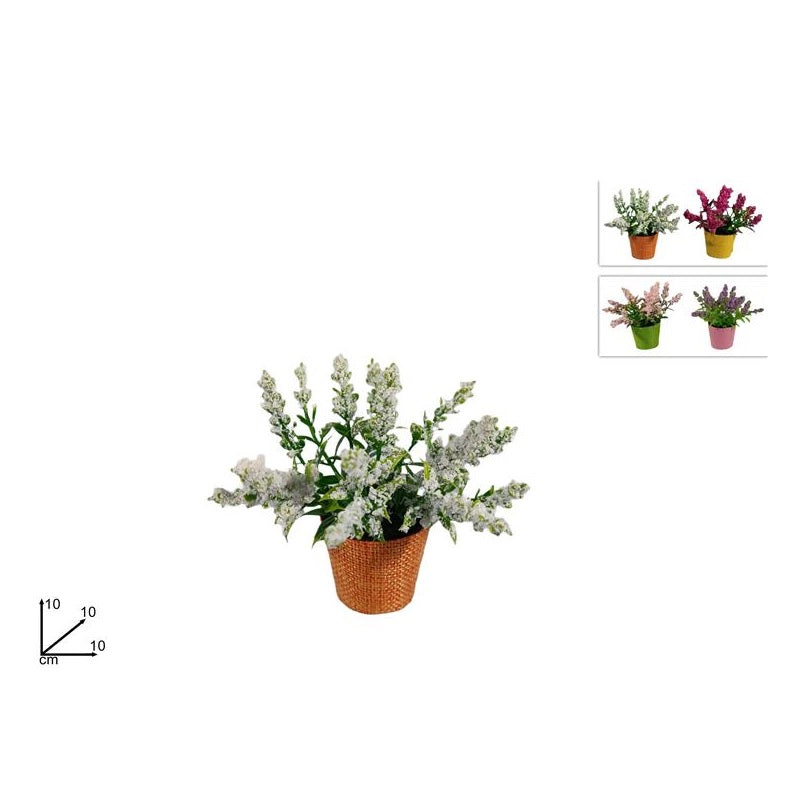 ΓΛΑΣΤΡΑΚΙ ΜΕ ΛΟΥΛΟΥΔΙΑ 10εκ