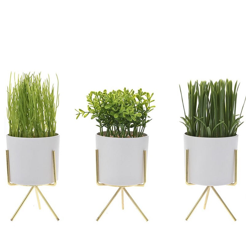 ΚΑΣΠΩ ΛΕΥΚΟ ΜΕ ΠΡΑΣΙΝΑΔΑ & ΧΡΥΣΟ ΤΡΙΠΟΔΟ 24εκ