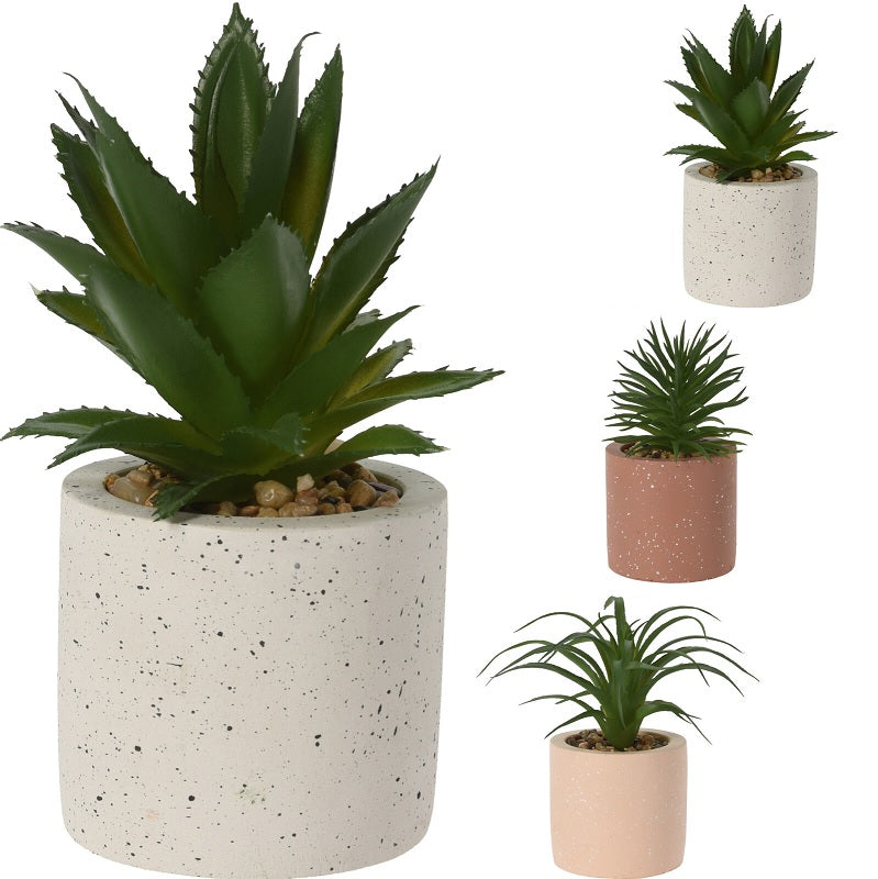 ΓΛΑΣΤΡΑΚΙ TERRAZZO BOTANICAL DECORATION