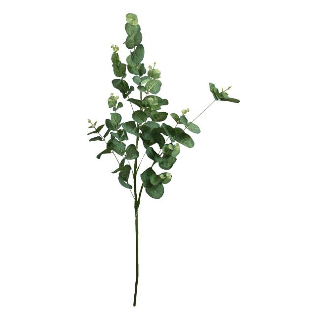 ΚΛΑΔΙ ΕΥΚΑΛΥΠΤΟΣ 90εκ