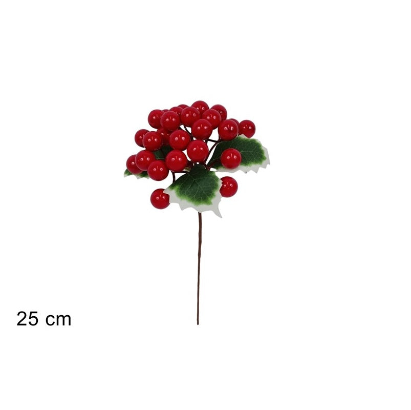 ΛΟΥΛΟΥΔΙ ΚΛΑΔΑΚΙ ΓΚΙ 24cm