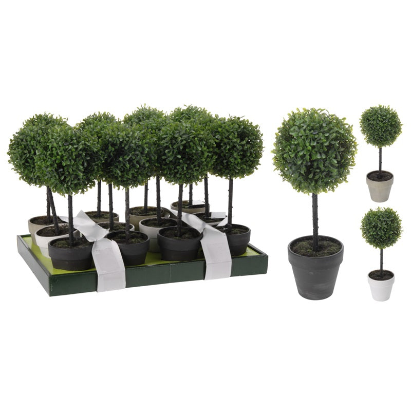 ΓΛΑΣΤΡΑΚΙ ΜΕ ΜΠΑΛΑ ΠΥΞΑΡΙ 41εκ BOTANICAL DECORATION