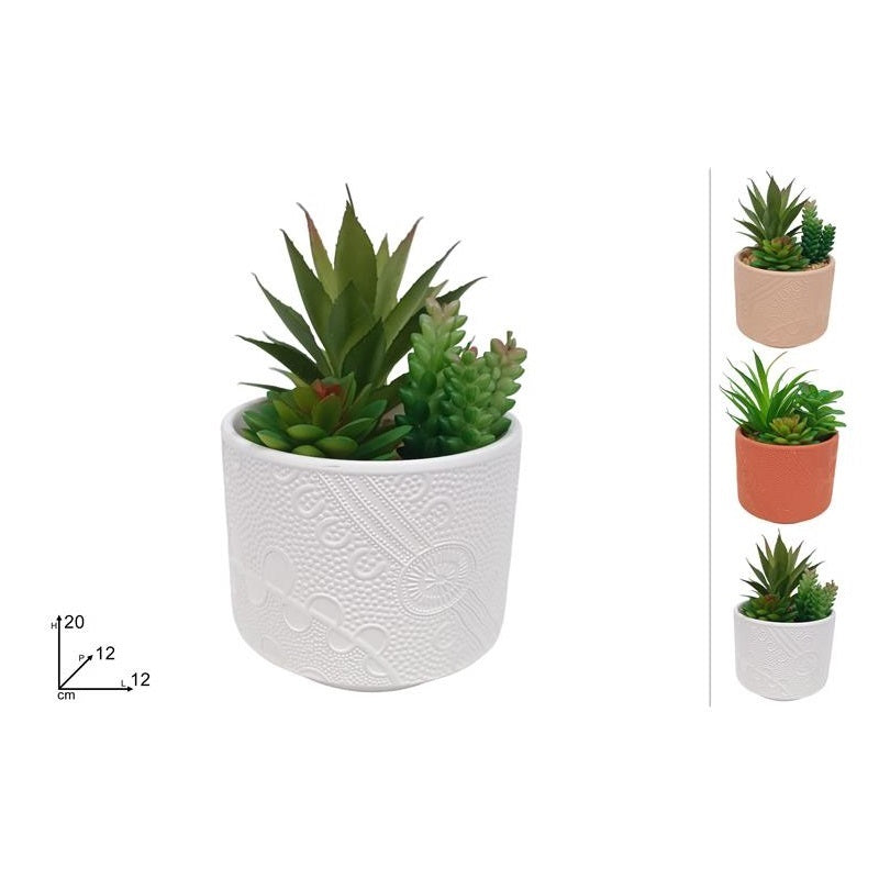 ΚΑΣΠΩ ΜΕ ΠΑΧΥΦΥΤΑ 12x12x20cm