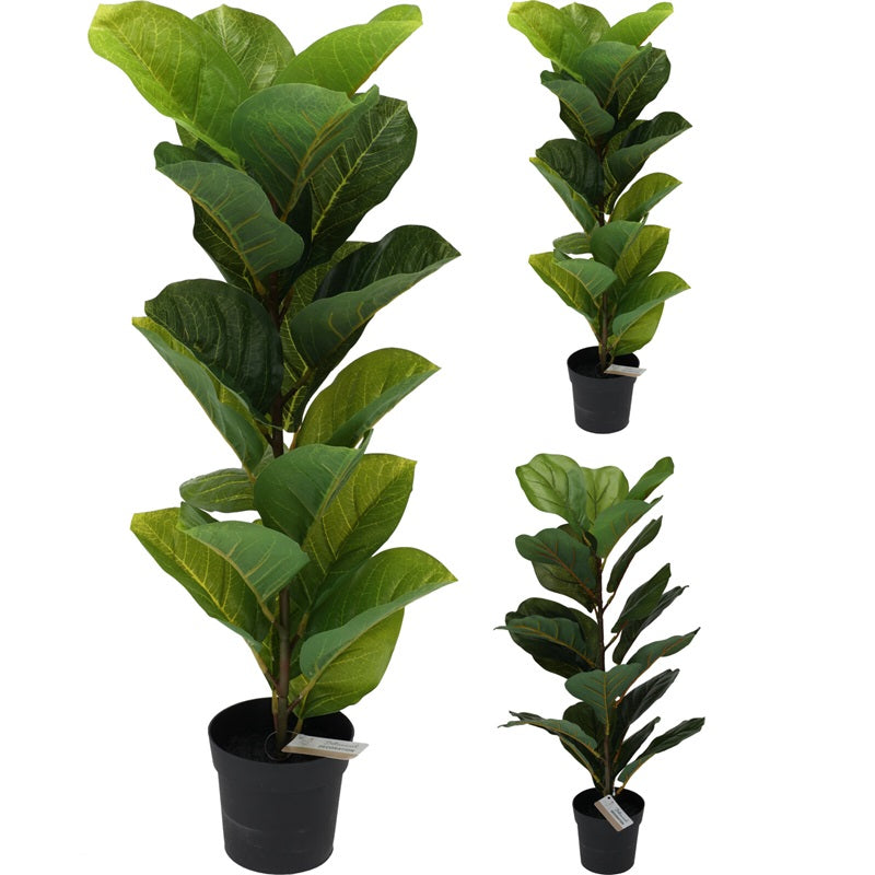 ΔΕΝΤΡΟ ΦΙΚΟΣ 65εκ BOTANICAL DOCORATION