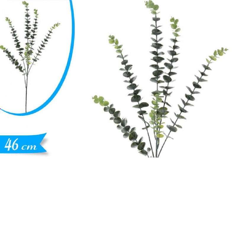 ΚΛΑΔΙ ΕΥΚΑΛΥΠΤΟΣ 46εκ