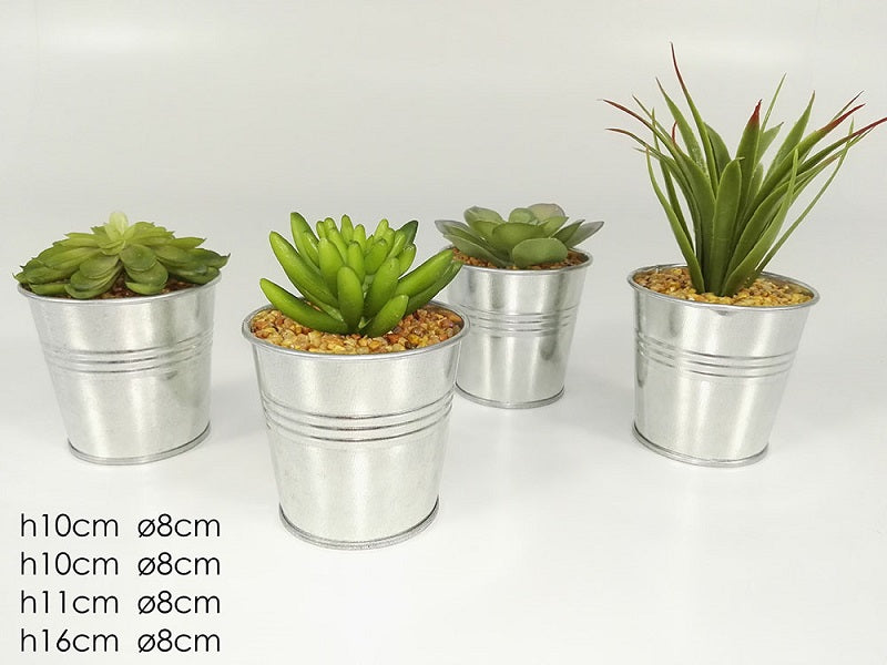 ΓΛΑΣΤΡΑΚΙ ΠΑΧΥΦΥΤΟ 10εκ ΜΕΤΑΛΛΙΚΟ ΚΑΣΠΩ