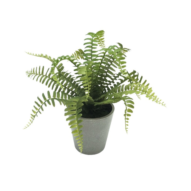 ΓΛΑΣΤΡΑ ΦΤΕΡΗ 28εκ