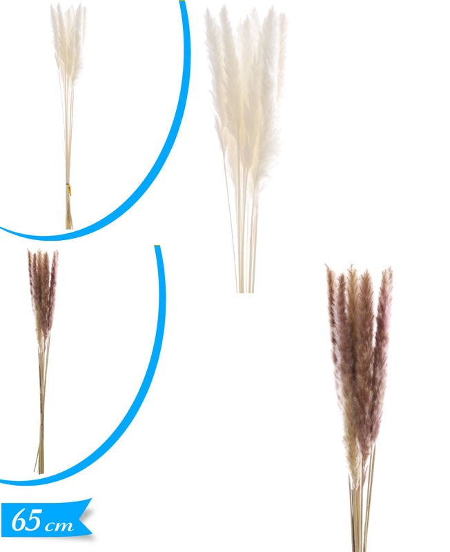 ΚΛΑΔΙ ΠΟΥΠΟΥΛΑ 65εκ