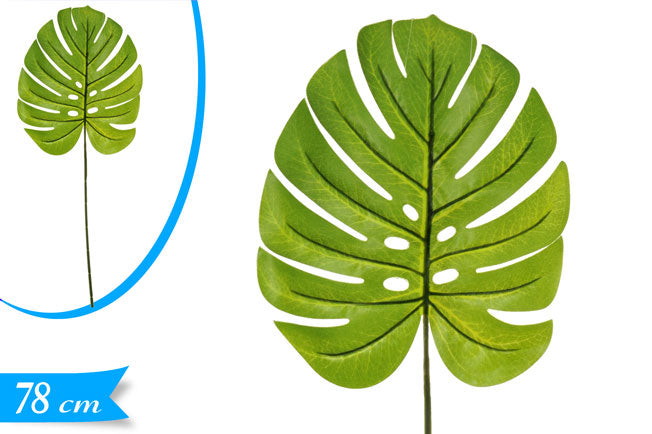 ΚΛΑΔΙ ΦΥΛΛΟ ΜΟΝΣΤΕΡΑ 78εκ