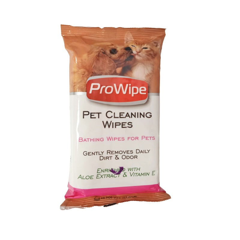 ΜΑΝΤΗΛΑΚΙΑ ΚΑΤΟΙΚΙΔΙΩΝ 40ΤΕΜ PRO WIPE