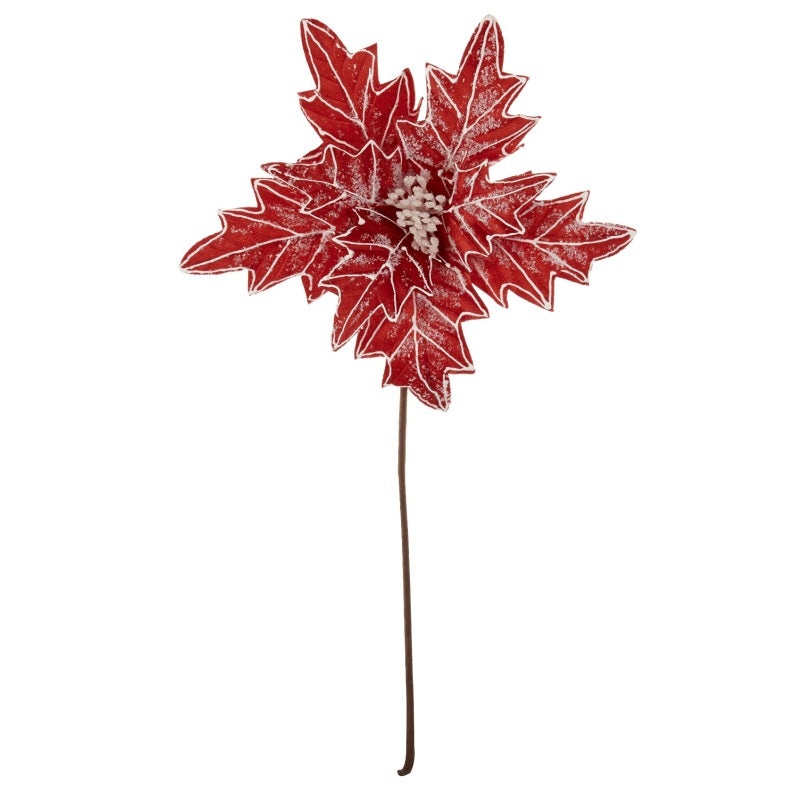 ΚΛΑΔΙ ΑΛΕΞΑΝΔΡΙΝΟ ΧΙΟΝΙΣΜΕΝΟ 30cm