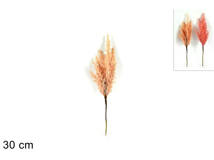 ΚΛΑΔΑΚΙ PAMPAS 30εκ