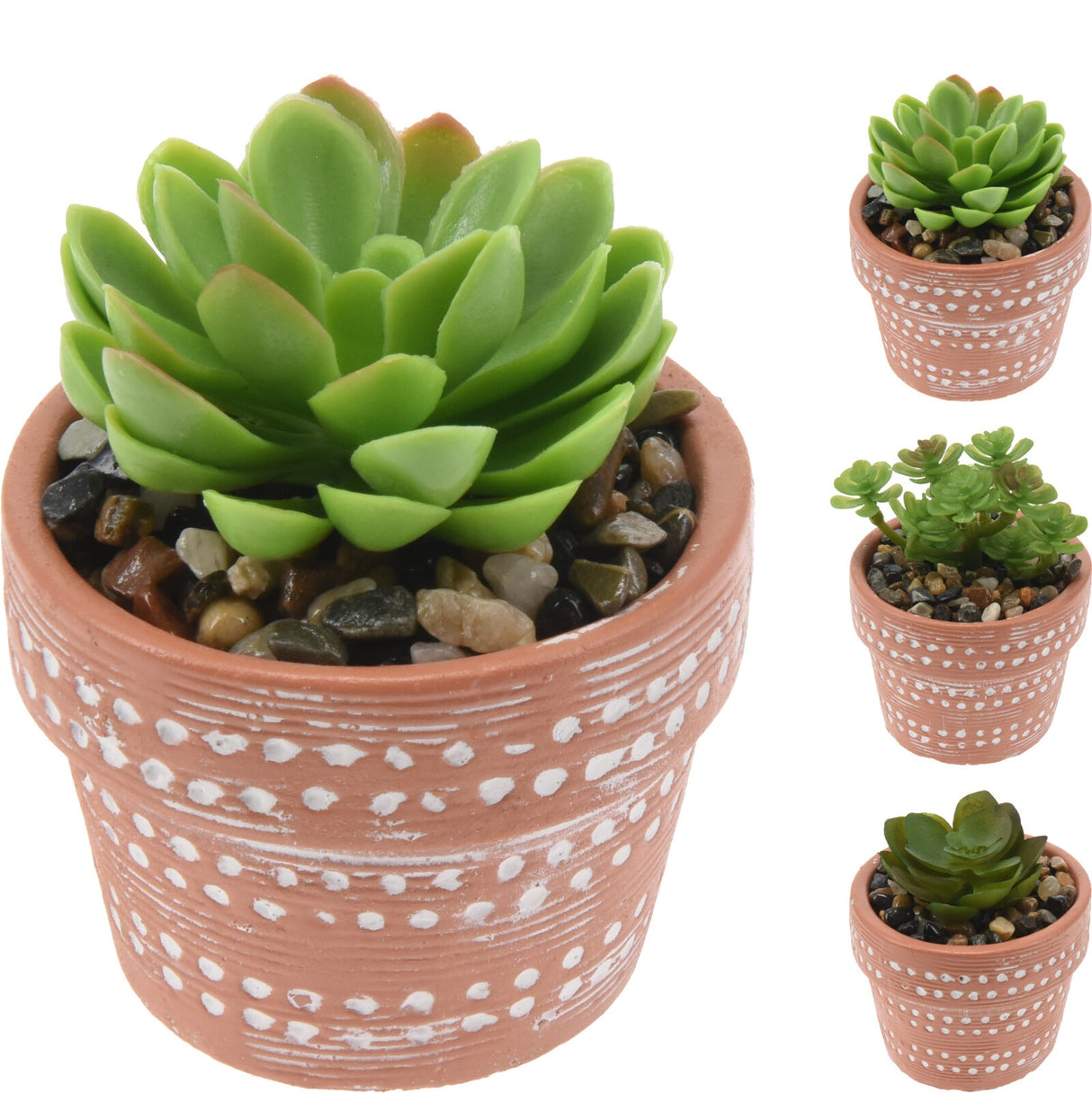 ΓΛΑΣΤΡΑΚΙ ΚΕΡΑΜΙΚΟ ΜΕ ΠΑΧΥΦΥΤΑ 8.5εκ BOTANICAL DECORATION