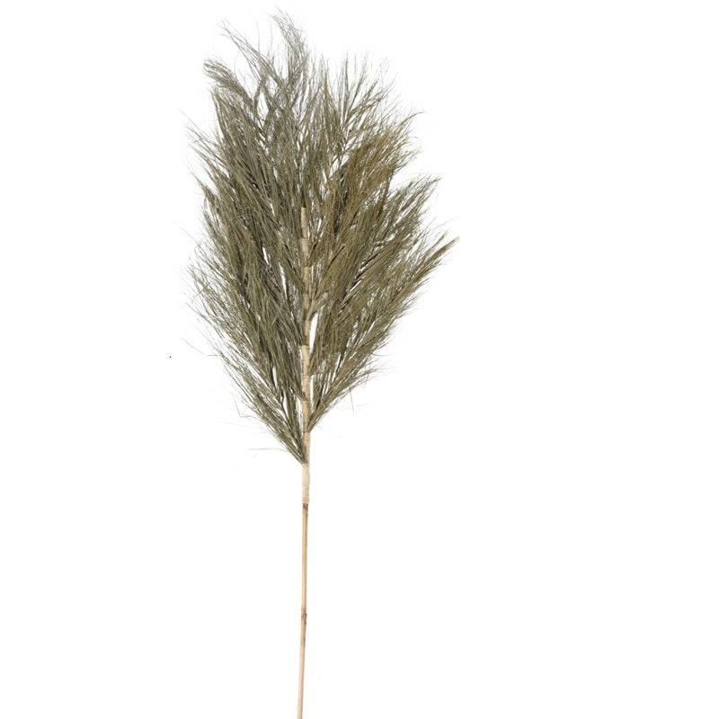 ΚΛΑΔΙ DECO 150cm BOTANICAL DECORATION