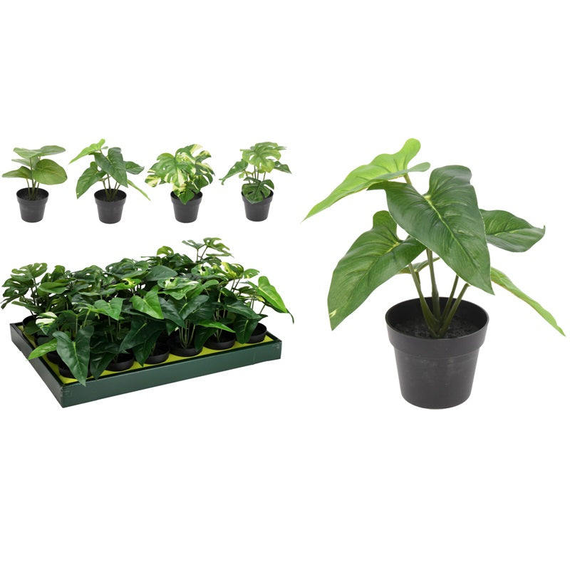 ΓΛΑΣΤΡΑΚΙ ΠΡΑΣΙΝΑΔΑ 24εκ BOTANICAL DECORATION