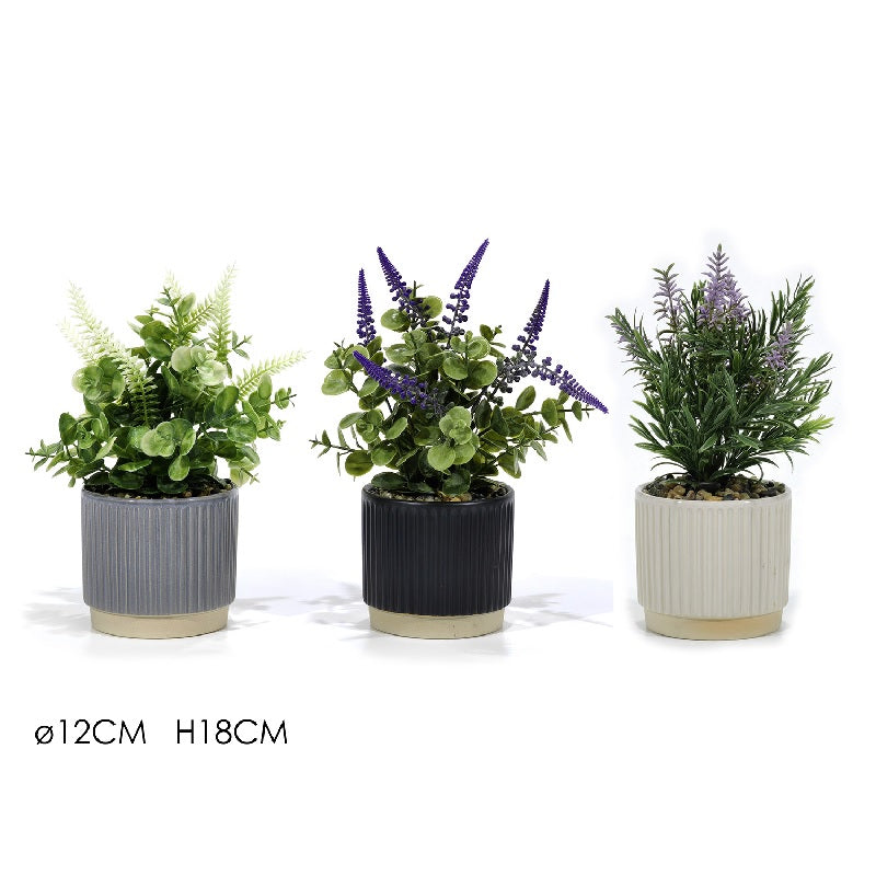 ΓΛΑΣΤΡΑΚΙ ΛΕΒΑΝΤΑ 12x18cm