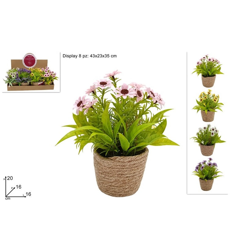 ΓΛΑΣΤΡΑΚΙ ΨΑΘΙΝΟ 20εκ ΜΑΡΓΑΡΙΤΑ