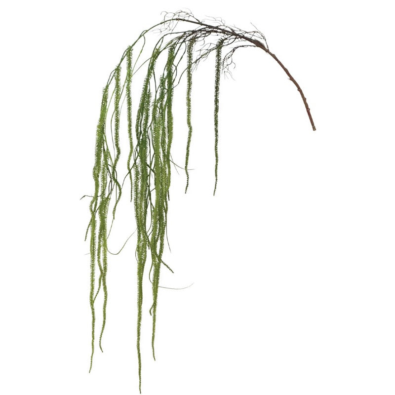 ΚΛΑΔΙ ΡΙΖΑ ΦΤΕΡΗ ΚΡΕΜΑΣΤΗ 162cm