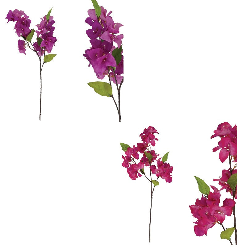 ΚΛΑΔΙ ΒΟΥΚΑΜΒΙΛΙΑΣ 70cm 0010028