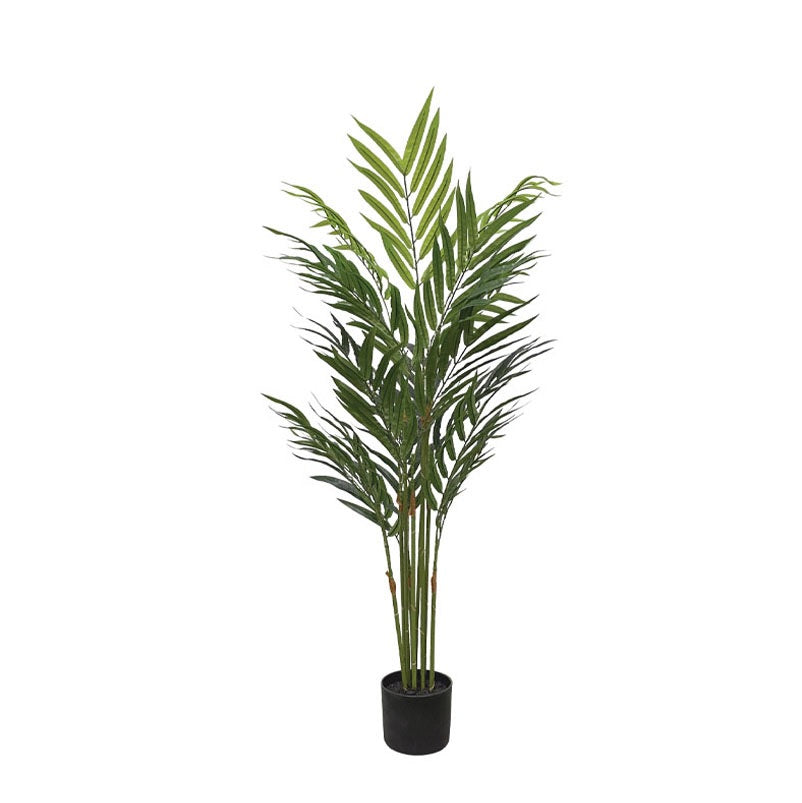 ΔΕΝΤΡΟ ΦΟΙΝΙΚΑΣ ΜΠΑΜΠΟΥ 120cm 0410061