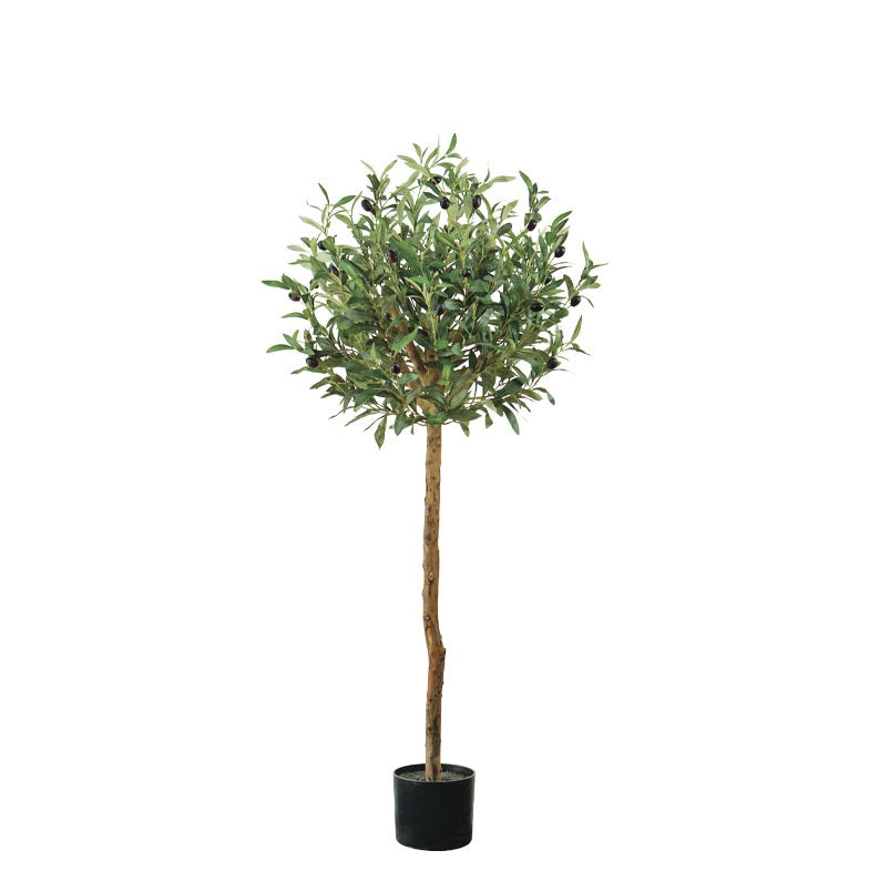 ΔΕΝΤΡΟ ΕΛΙΑ ΜΠΑΛΑ 120cm