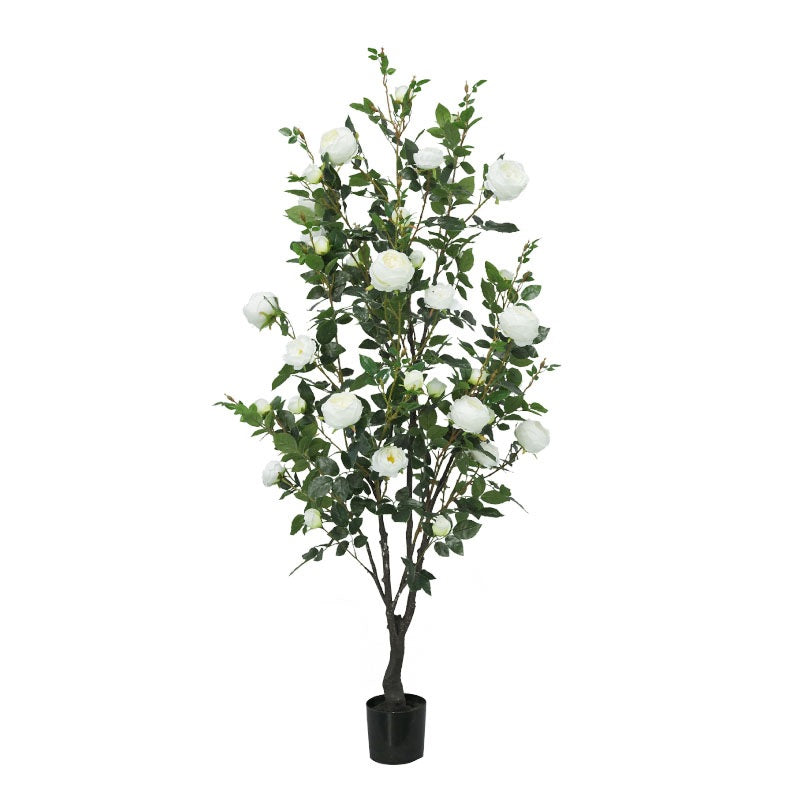 ΔΕΝΤΡΟ ΤΡΙΑΝΤΑΦΥΛΛΙΑΑ 175cm 22055