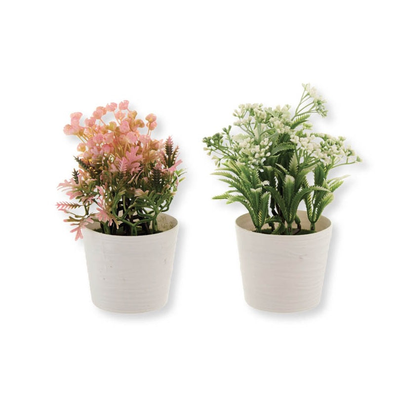 ΓΛΑΣΤΡΑΚΙ ΛΕΥΚΟ MINI ΜΕ ΛΟΥΛΟΥΔΙΑ 15cm