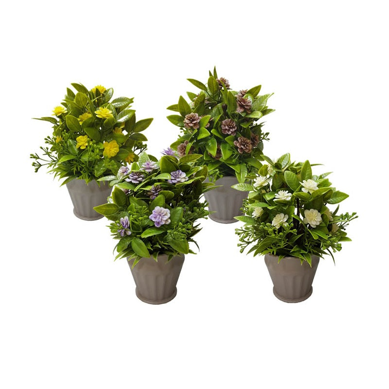 ΓΛΑΣΤΡΑΚΙ ΜΕ ΛΟΥΛΟΥΔΙΑ 210859