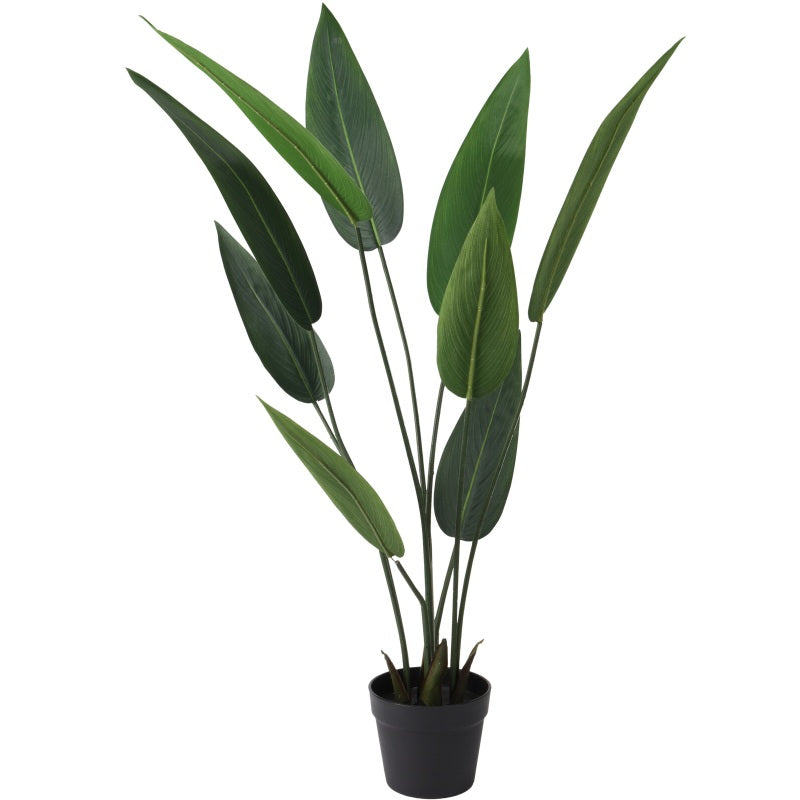 ΓΛΑΣΤΡΑ ΦΙΚΟΣ 110cm BOTANICAL DECORATION